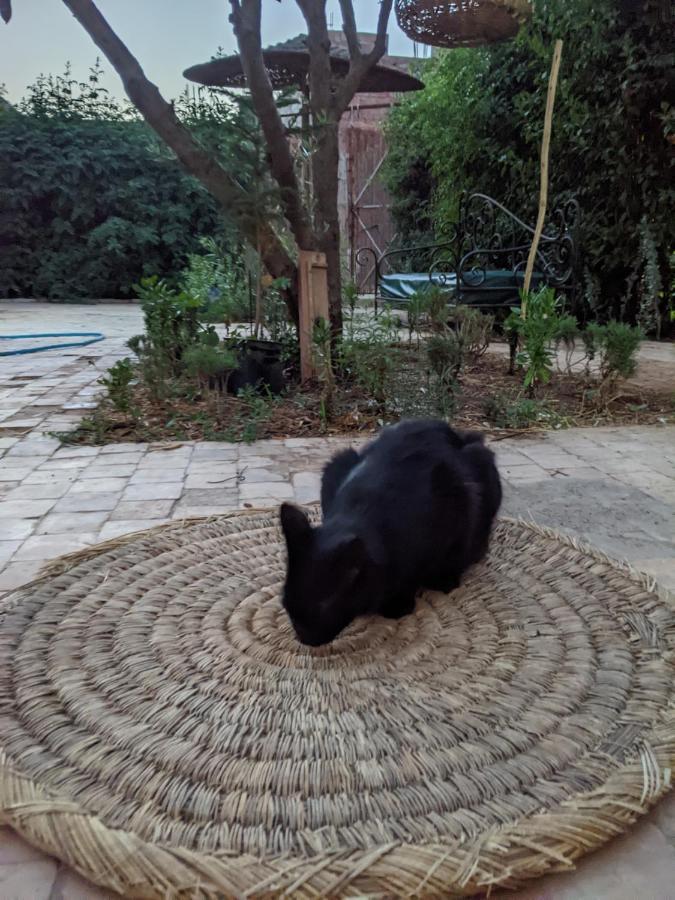 Dar Saafia Marrakesch